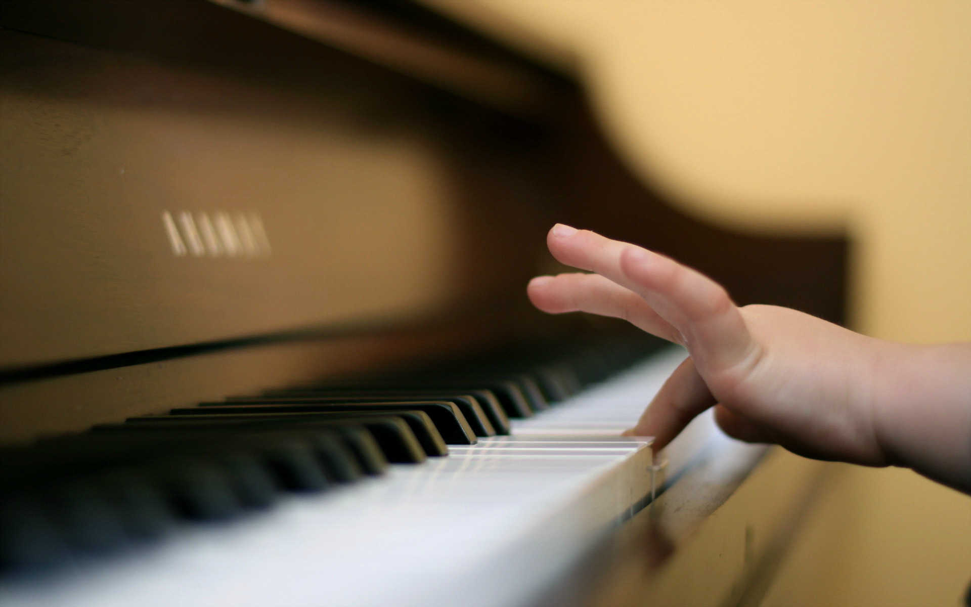 Piano Teacher and Student Matching Service